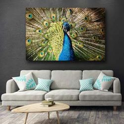 Birds Wall Art